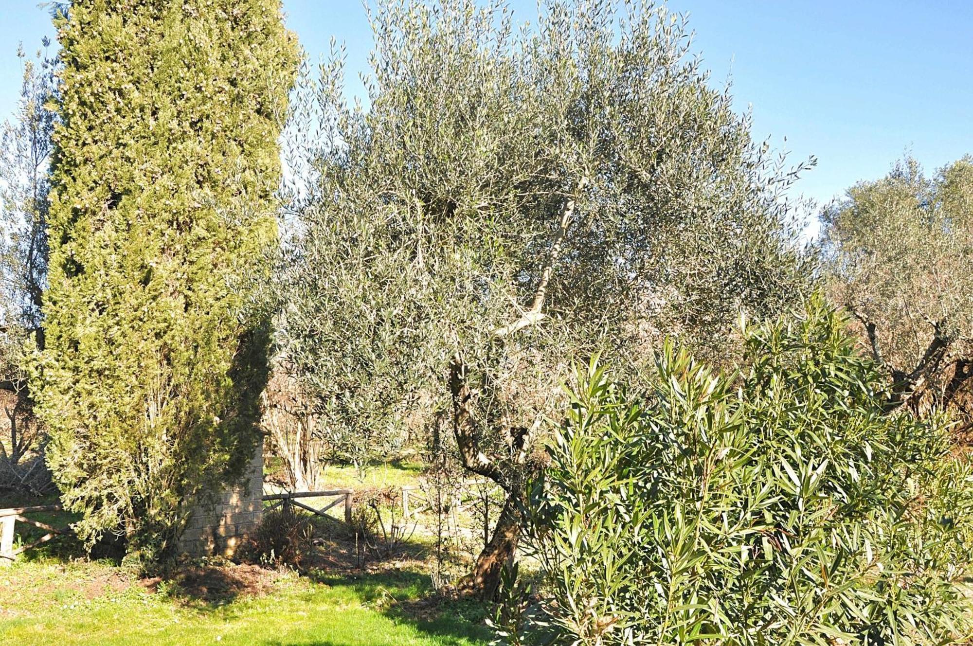 Montecasciano Primula Villa Capranica Exterior photo